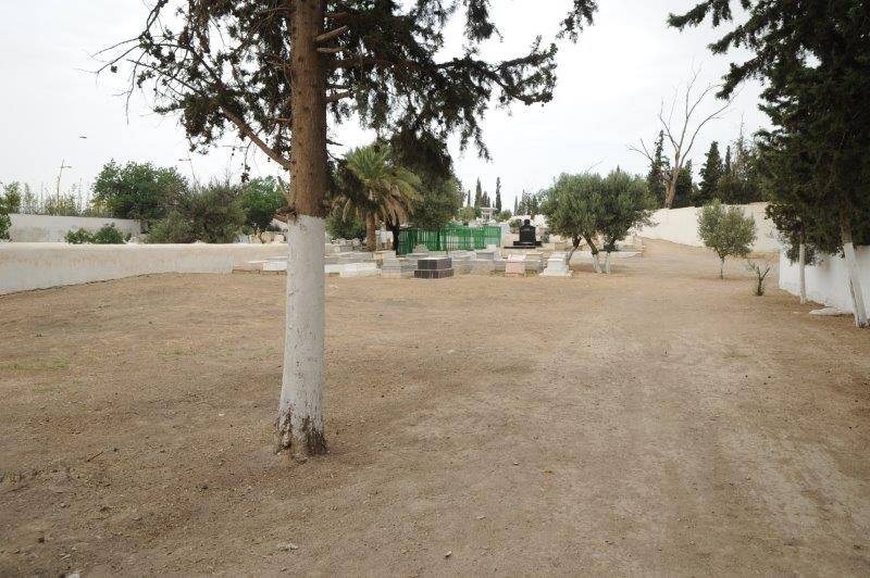 maroc oujda cimetiere juif tombes ZBL 7558 2